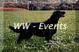 WW - Events