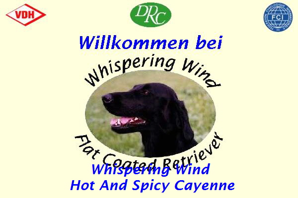 Whispering Wind 
Hot And Spicy Cayenne