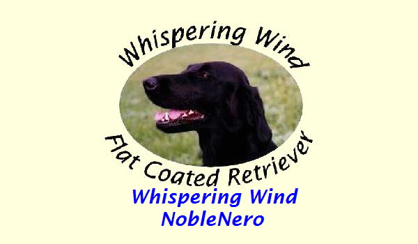 Whispering Wind
NobleNero