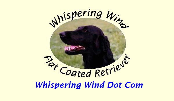 Whispering Wind Dot Com