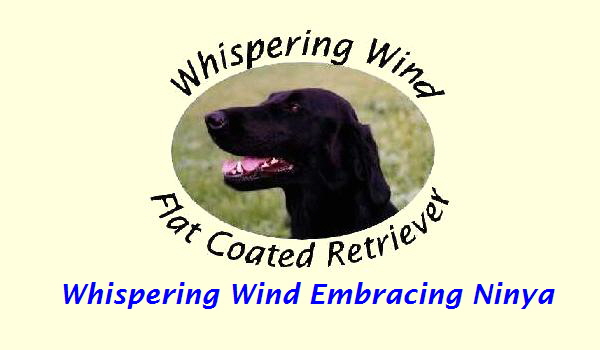 Whispering Wind Embracing Ninya