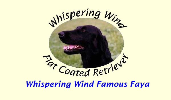 Whispering Wind Famous Faya