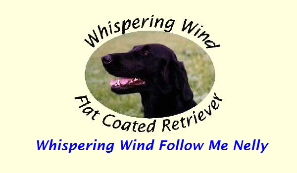 Whispering Wind Follow Me Nelly