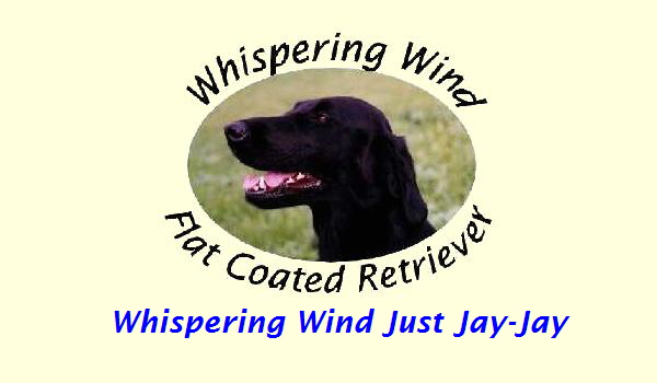 Whispering Wind Just Jay-Jay