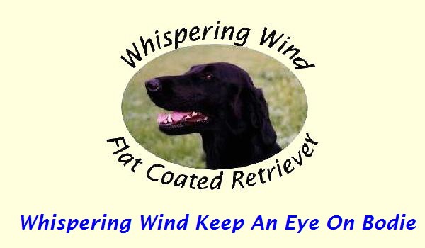 Whispering Wind Keep An Eye On Bodie
