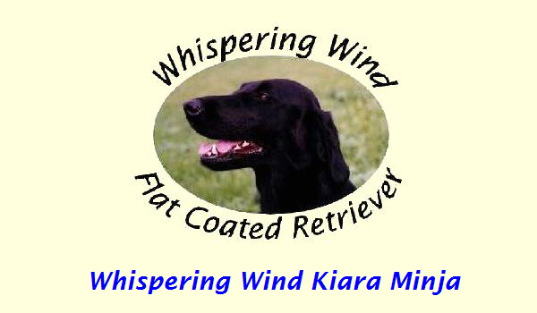 Whispering Wind Kiara Minja