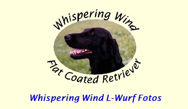 Whispering Wind L-Wurf Fotos