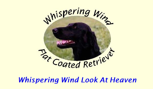 Whispering Wind Look At Heaven