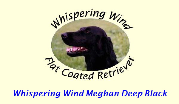 Whispering Wind Meghan Deep Black