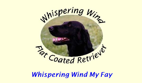 Whispering Wind My Fay