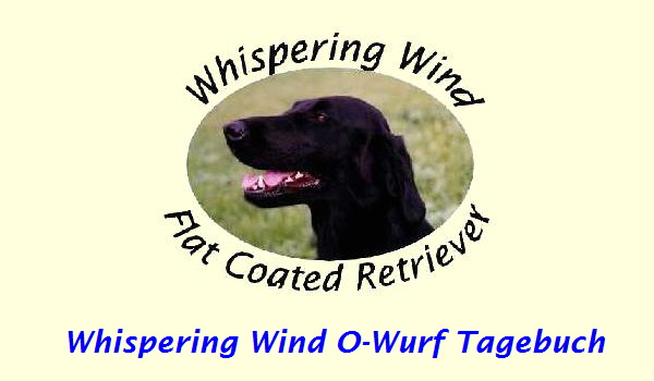 Whispering Wind O-Wurf Tagebuch